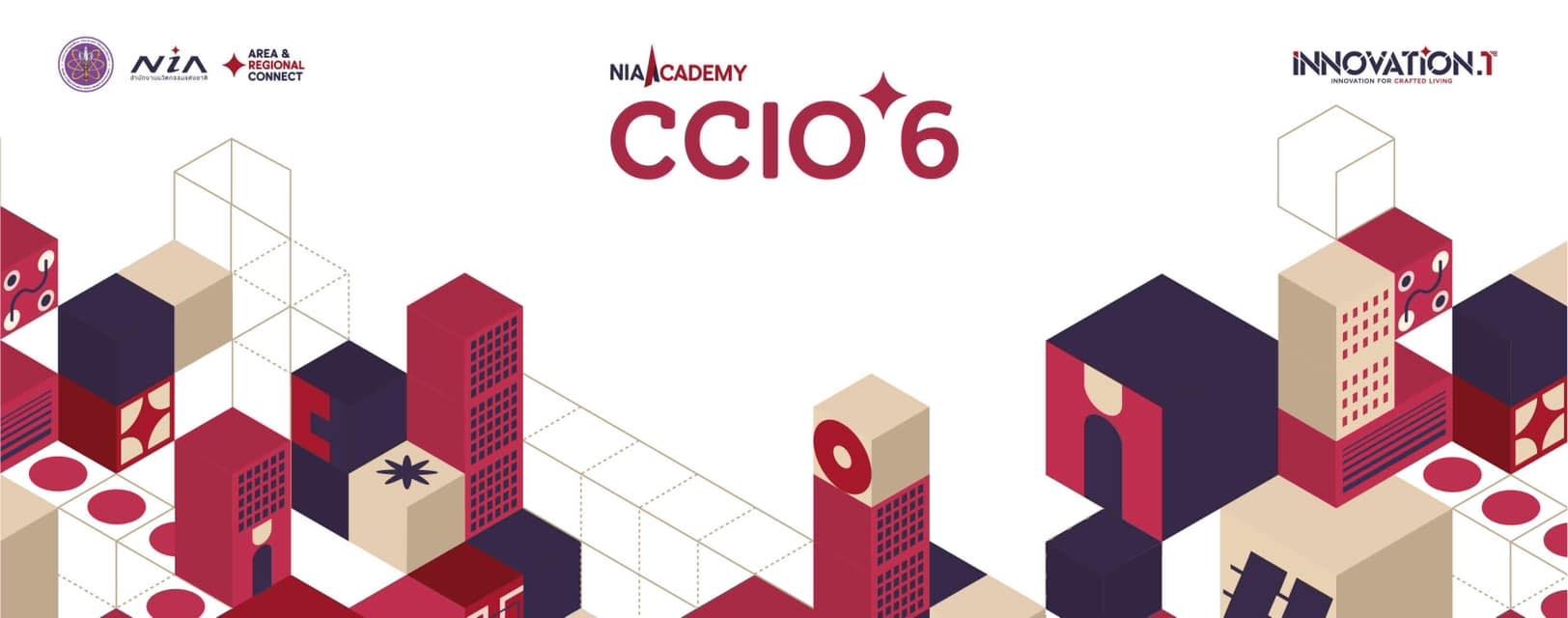 CCIO assessment NIA Academy